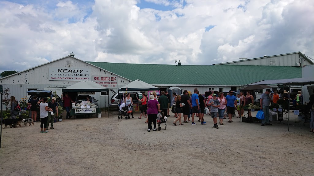 Keady Livestock Market | point of interest | 117012 Grey Road 3, Tara, ON N0H 2N0, Canada | 5199342339 OR +1 519-934-2339