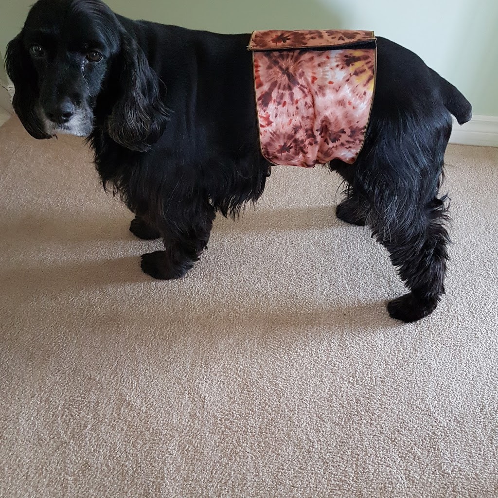 Jack & Jill Dog Diapers | Ramblewood Dr, Wasaga Beach, ON L9Z 1P3, Canada | Phone: (866) 969-1195