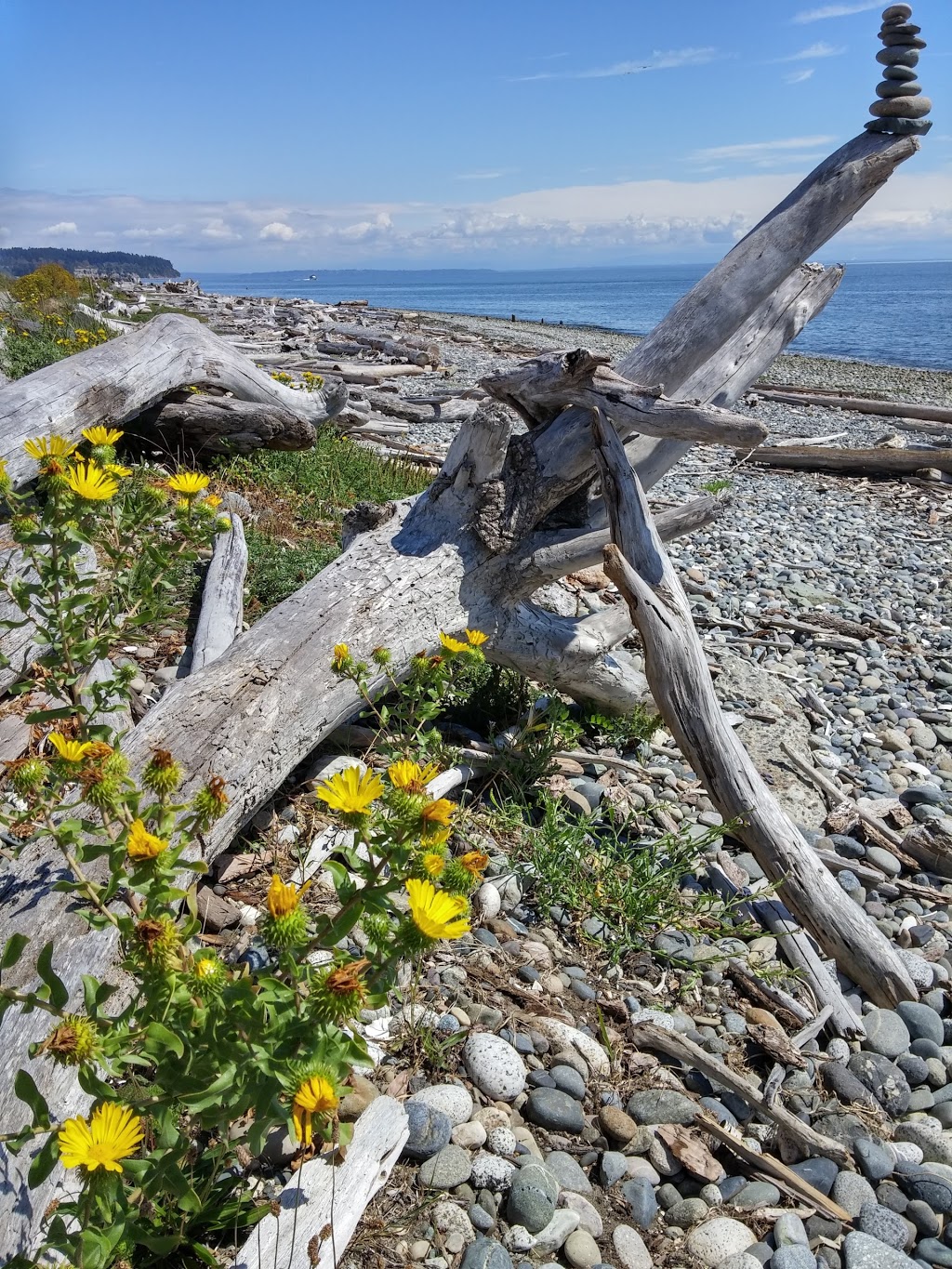 Point Roberts Rentals | 1459 Edwards Dr # 5, Point Roberts, WA 98281, USA