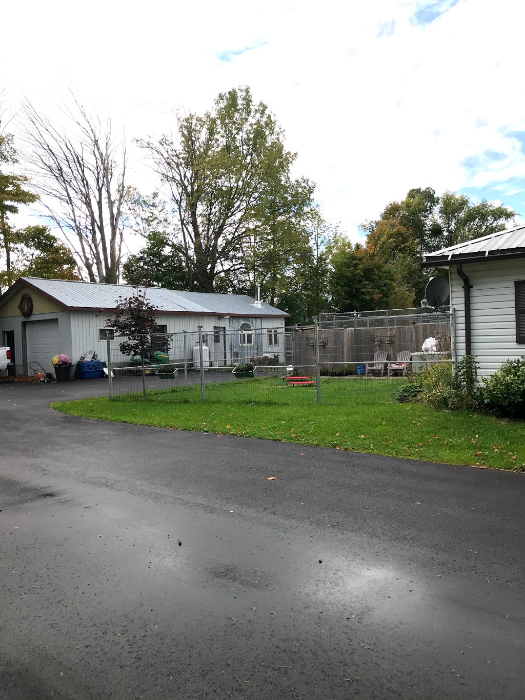 Heartland Kennels | 336 5 Line N, Oro Station, ON L0L 2E0, Canada | Phone: (705) 487-2660