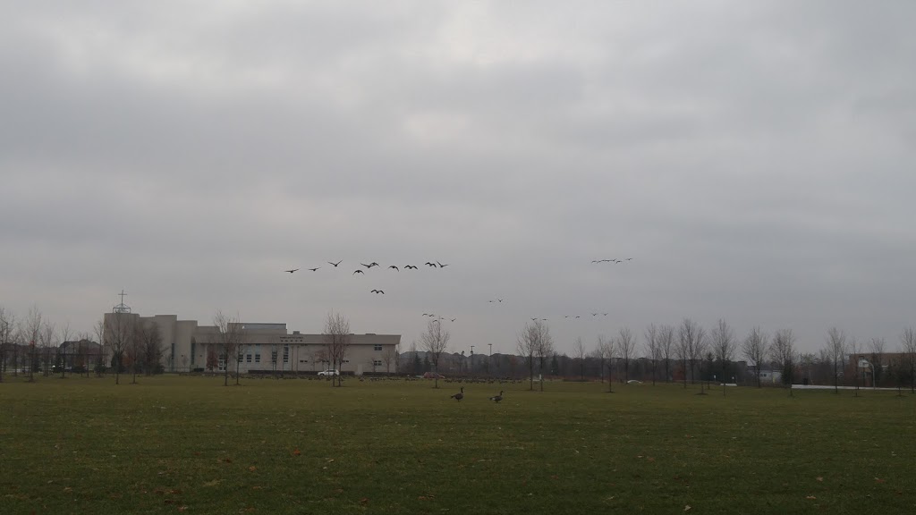 Bur Oak Park | Markham, ON L6E, Canada