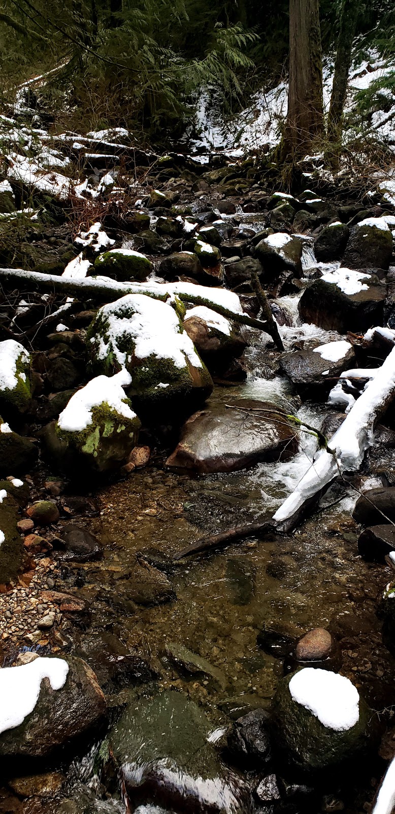 Hayward Lake Reservoir Trail. | 31170 Dewdney Trunk Rd, Mission, BC V4S 1C4, Canada