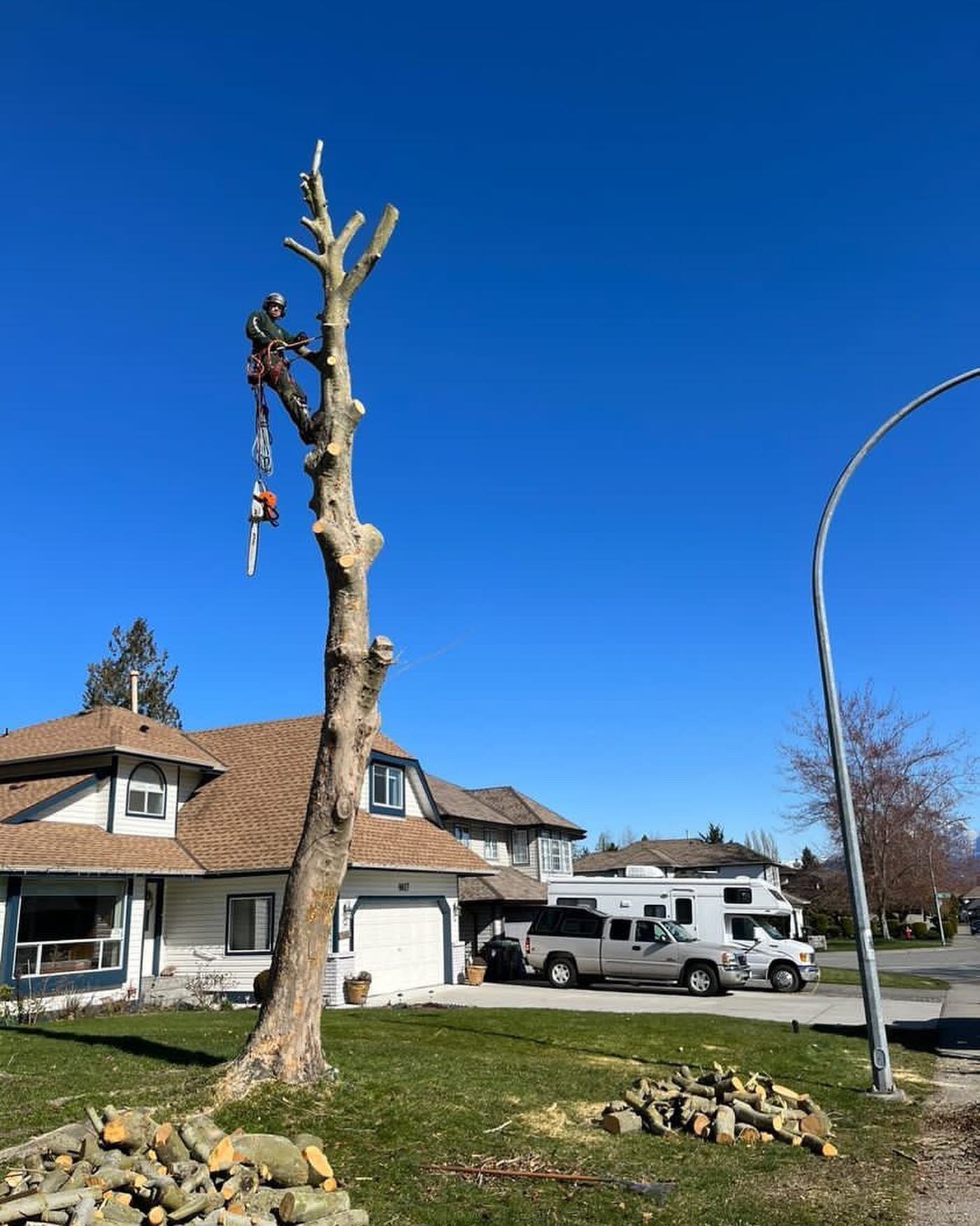 Pacific Hedge Tree Care | 20560 66 Ave #6, Langley, BC V2Y 2Y8, Canada | Phone: (778) 999-8996