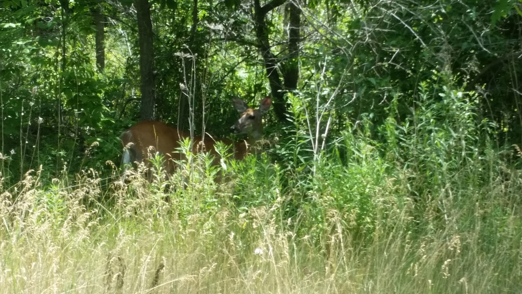 Brant Conservation Area | 119 Jennings Rd, Brantford, ON N3T 5L7, Canada | Phone: (519) 752-2040