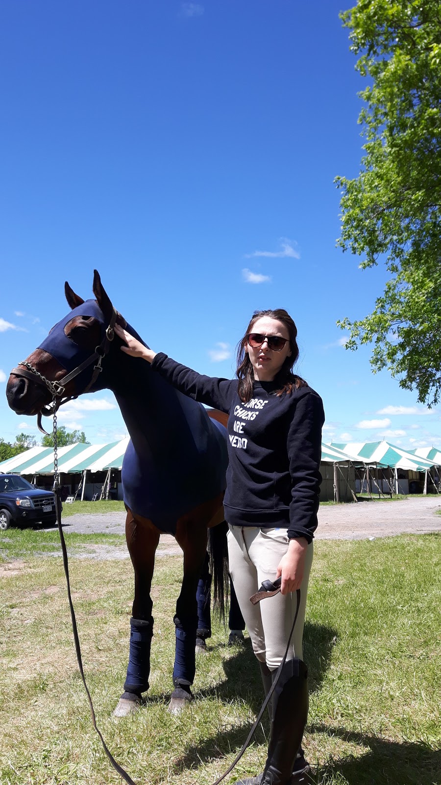 Burbrook Equestrian | 2147 Cordukes Rd, Kingston, ON K7L 4V4, Canada | Phone: (613) 544-3428