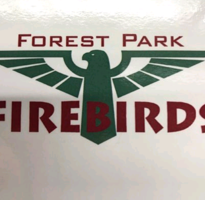 Forest Park Elementary School | 295 Forest Ave, St Thomas, ON N5R 2K5, Canada | Phone: (519) 631-3563