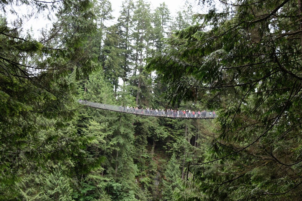 Capilano Suspension Bridge Park | 3735 Capilano Rd, North Vancouver, BC V7R 4J1, Canada | Phone: (604) 985-7474