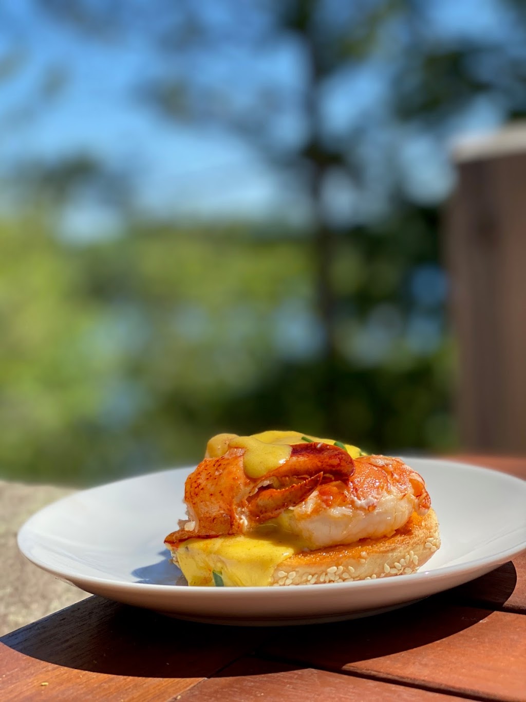Lodge on the Rocks | 168 Chemin du Lac Gervais, Labelle, QC J0T 1H0, Canada | Phone: (514) 995-8933