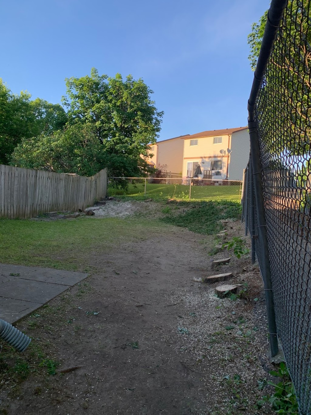 DNA Tree Service | 15 Noblewood Dr, Nobleton, ON L0G 1N0, Canada | Phone: (416) 605-4506
