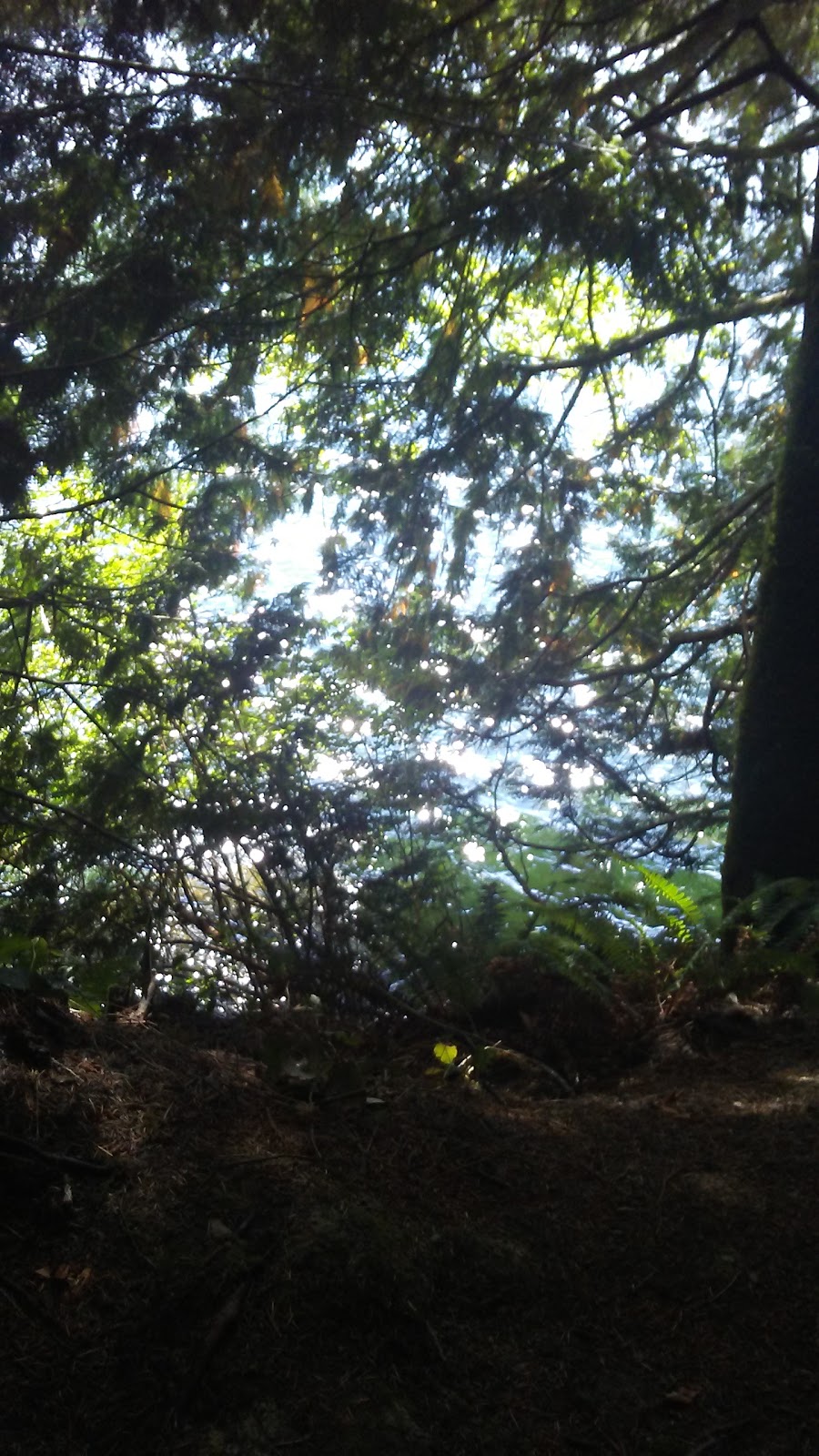 Nala Island | Axelson Rd, Bellingham, WA 98229, USA