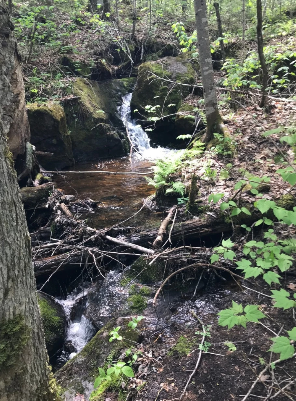 Seigneurie du Lac Meduse en Mauricie | 8 Chem. de la Colline, Saint-Roch-de-Mékinac, QC J0V 1P0, Canada | Phone: (514) 814-2723