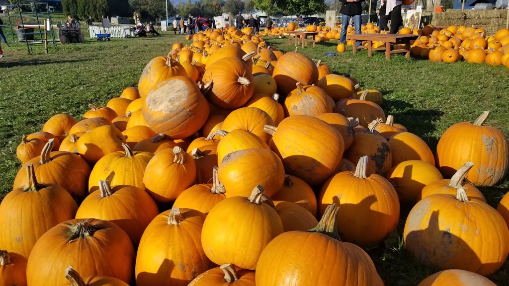 McMillan Farms | 3690 Berard Rd #1, Kelowna, BC V1W 4A9, Canada | Phone: (250) 448-2336