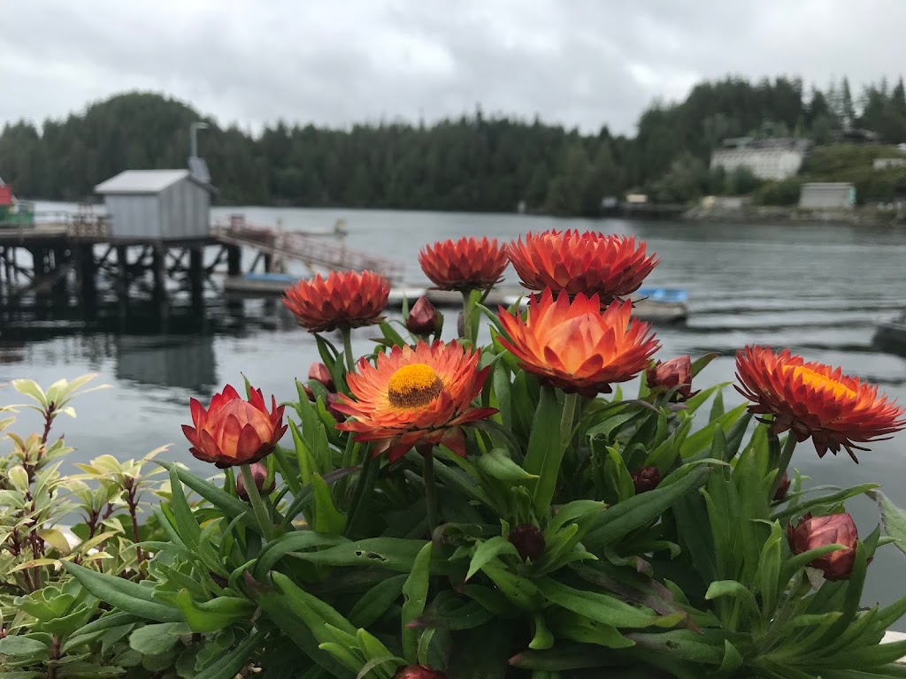 Kiixin Tours | East Government Dock, 226 Frigate Rd, Bamfield, BC V0R 1B0, Canada | Phone: (250) 735-3432