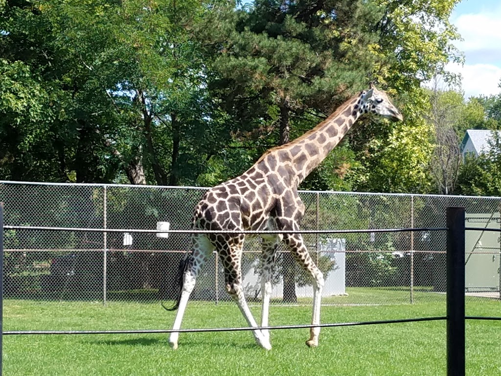 The Buffalo Zoo | 300 Parkside Ave, Buffalo, NY 14214, USA | Phone: (716) 837-3900
