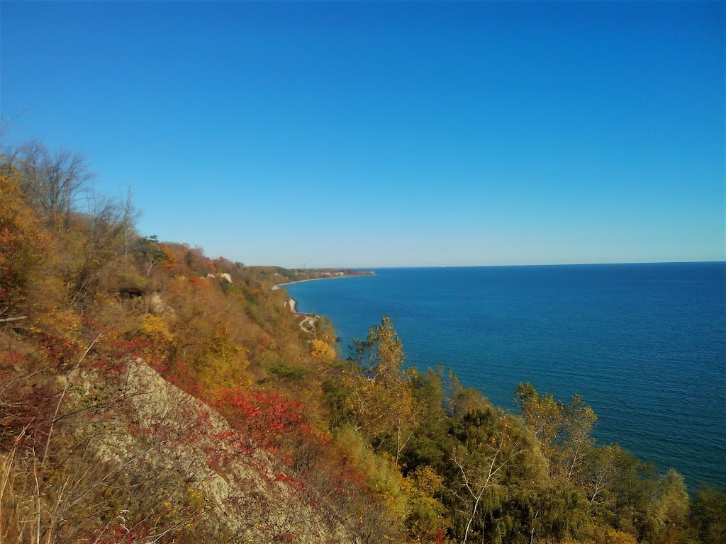 Sylvan Park - Gates Gully | 67 Sylvan Ave, Scarborough, ON M1M 1J9, Canada