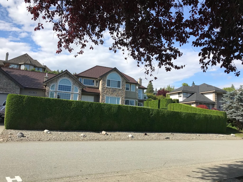 David Bui Landscaping | 15910 91a Ave, Surrey, BC V4N 2X4, Canada | Phone: (778) 251-8927