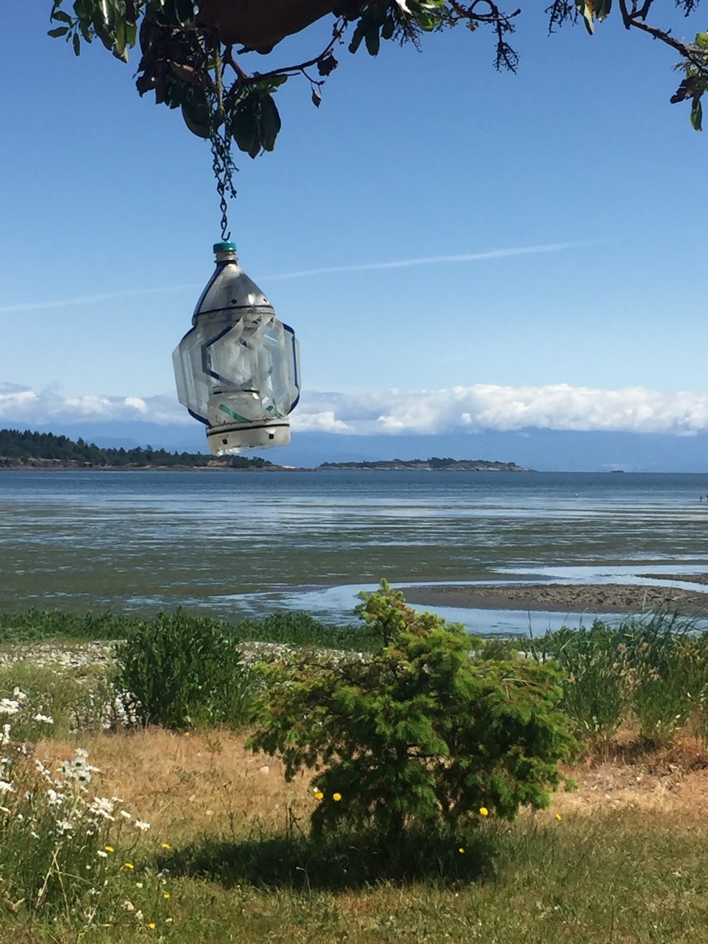 Snaw Naw As Campground | 101 Snaw-Naw-As Road, Lantzville, BC V0R 2H0, Canada | Phone: (250) 933-2505