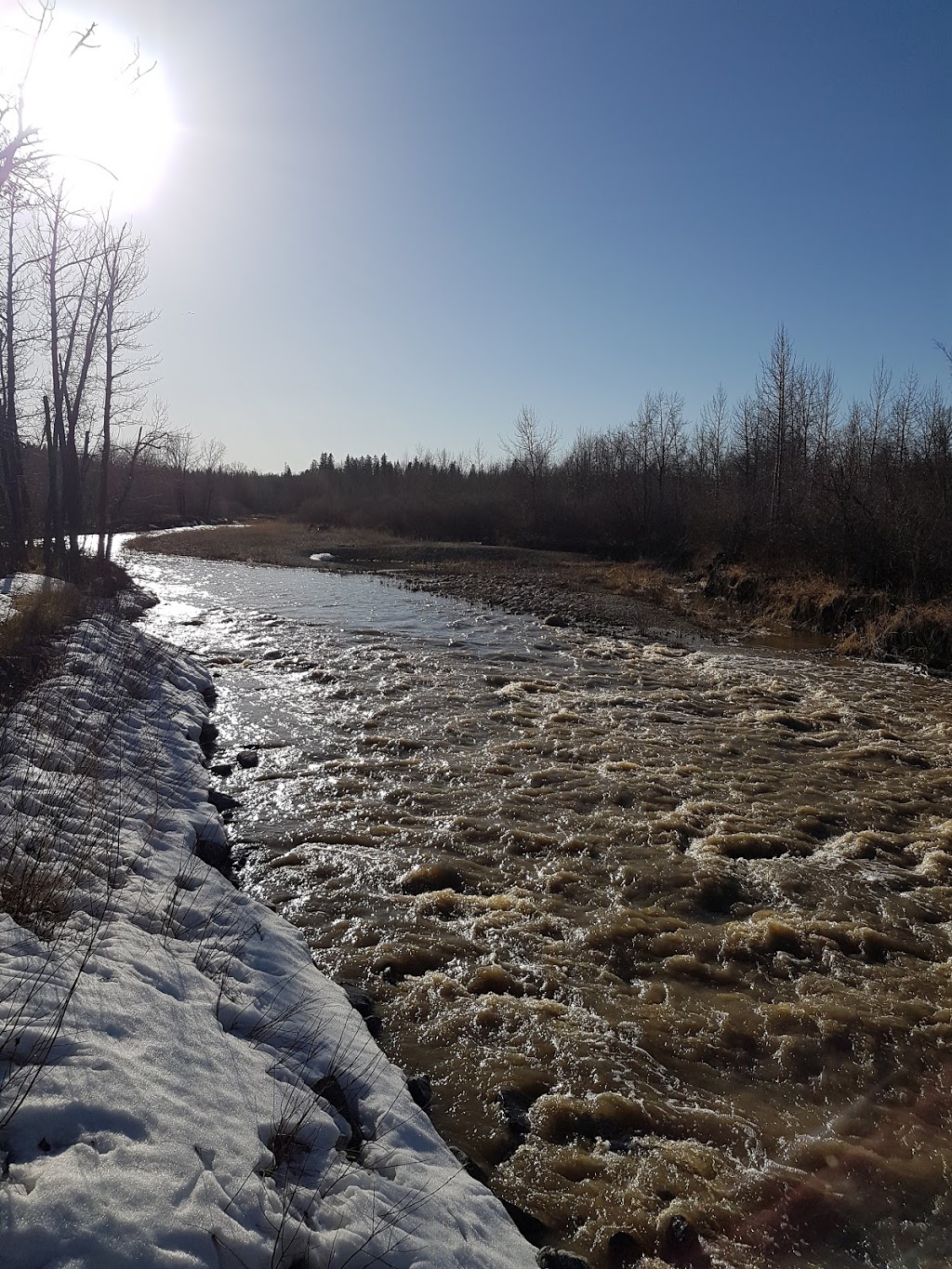 Votiers Flats Fish Creek Park | 13511 Elbow Dr SW, Calgary, AB T2W 2P2, Canada