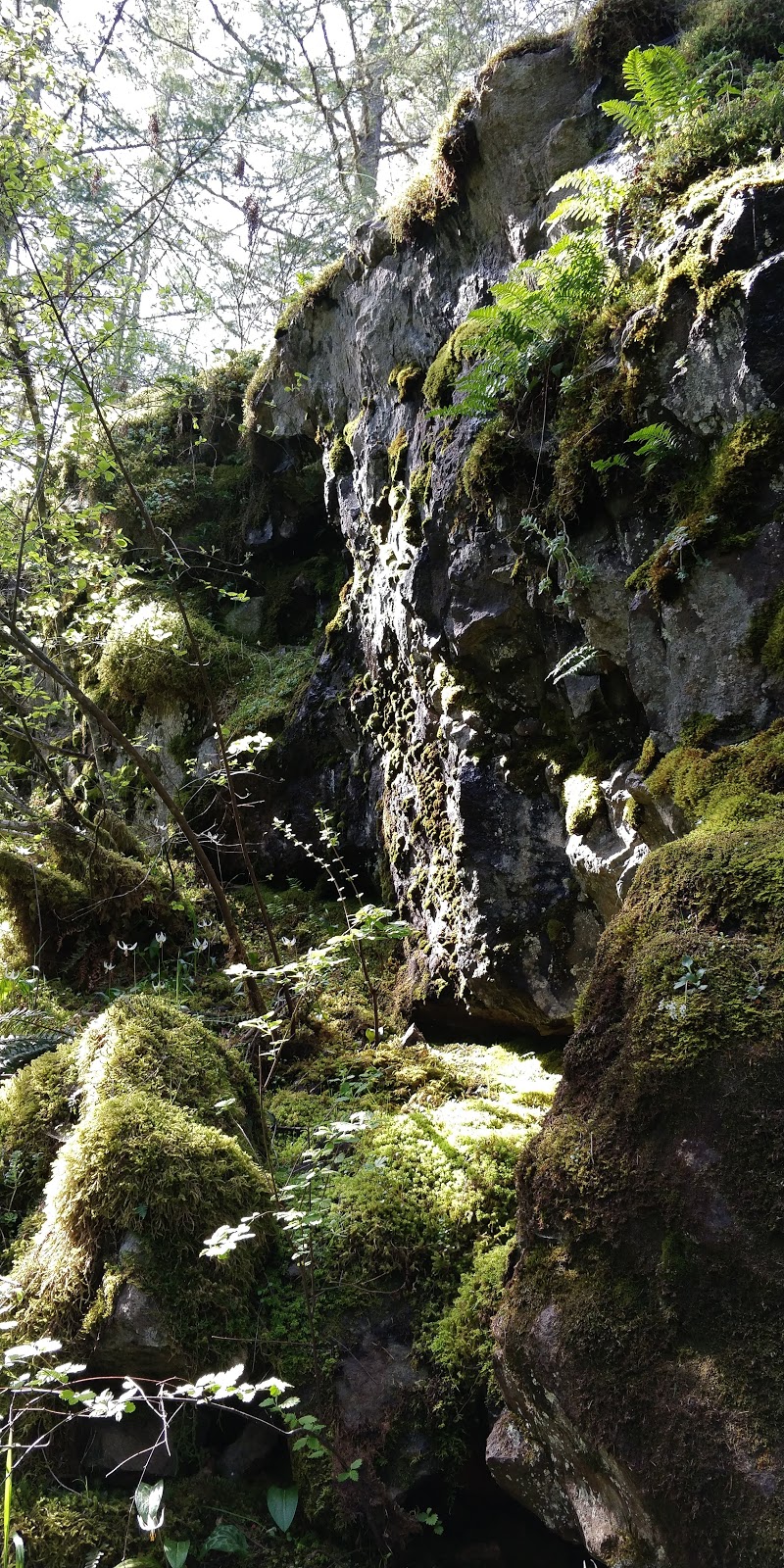 Mt Wells Park | Humpback Rd, Victoria, BC V9B 6B1, Canada | Phone: (250) 360-3000