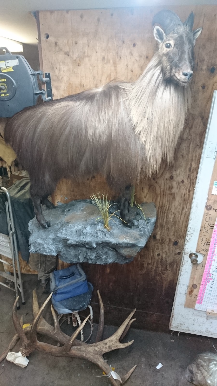Taxidermie & Tannerie Pierre | 1960 Rue Principale, Saint-Paul-dAbbotsford, QC J0E 1A0, Canada | Phone: (450) 379-9337