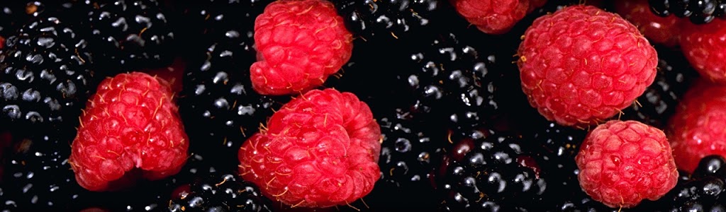 NutritionistKhan.com | 550 Birchmount Rd, Scarborough, ON M1K 0A4, Canada | Phone: (647) 772-5931
