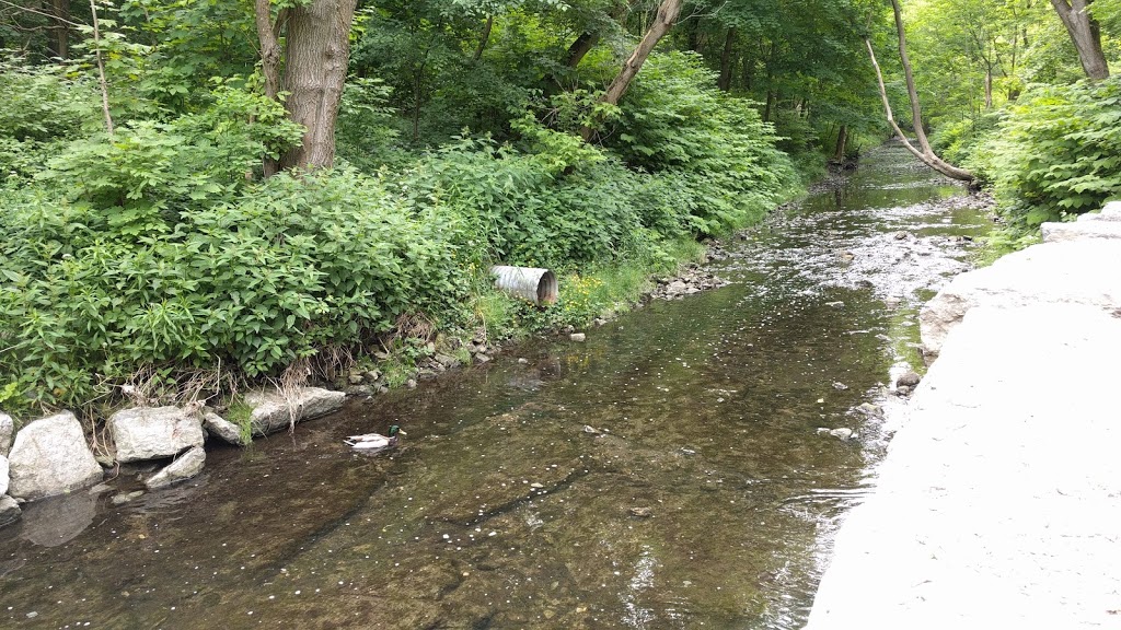 beaumont park toronto