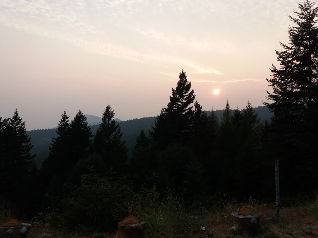 Wild Nature B&B | 7096 Goudie Rd, Kelowna, BC V1P 1H7, Canada | Phone: (250) 765-8833