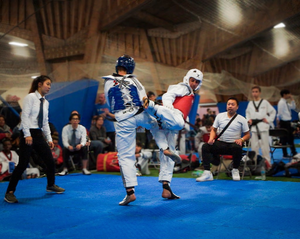 Kick Nation Taekwondo | 68 Main St N #2&3, Georgetown, ON L7G 3H3, Canada | Phone: (905) 877-4343