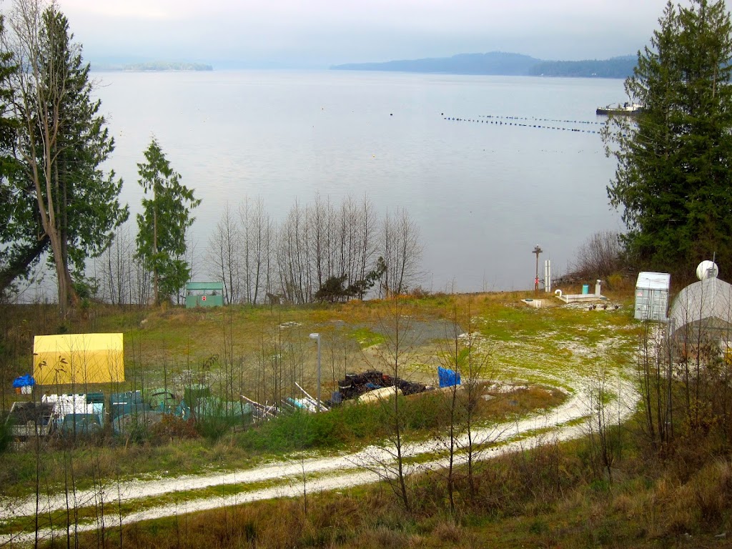 Deep Bay Marine Field Station | 370 Crome Point Rd, Bowser, BC V0R 1G0, Canada | Phone: (250) 740-6611