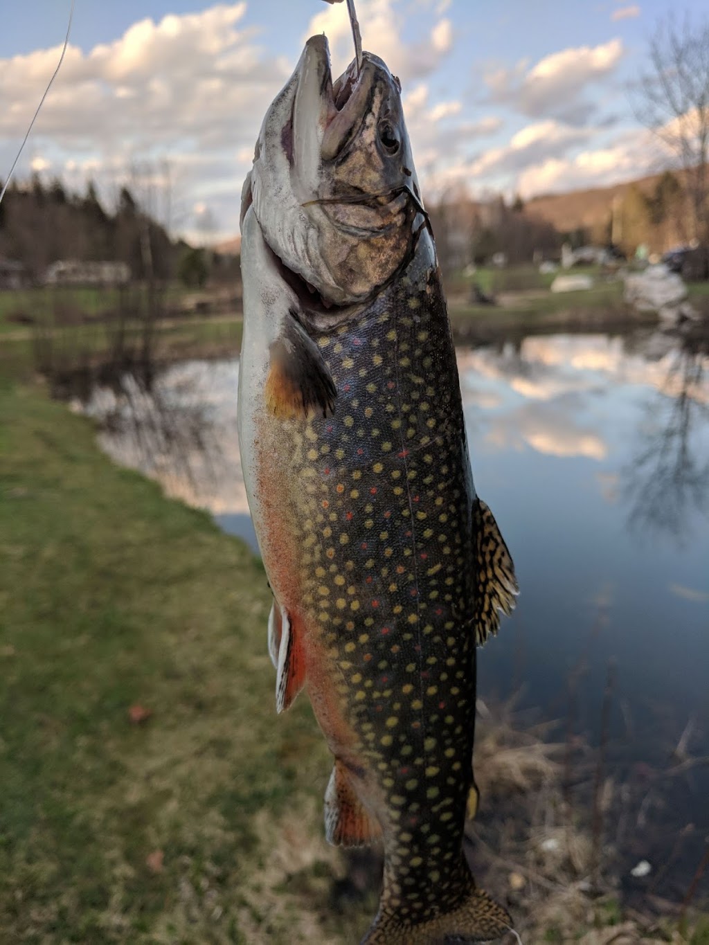 Camping LEscapade Inc | 48 Chemin de la Montagne, Arundel, QC J0T 1A0, Canada | Phone: (819) 210-1099