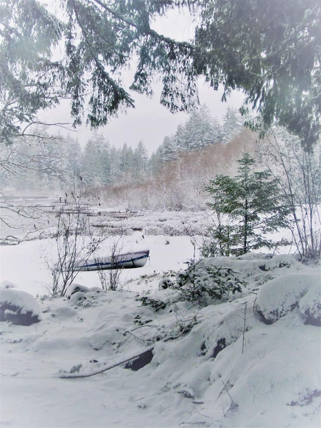The Cottages at Marble Bay | Nighthawk Rd, Lake Cowichan, BC V0R 2G0, Canada | Phone: (250) 588-2859