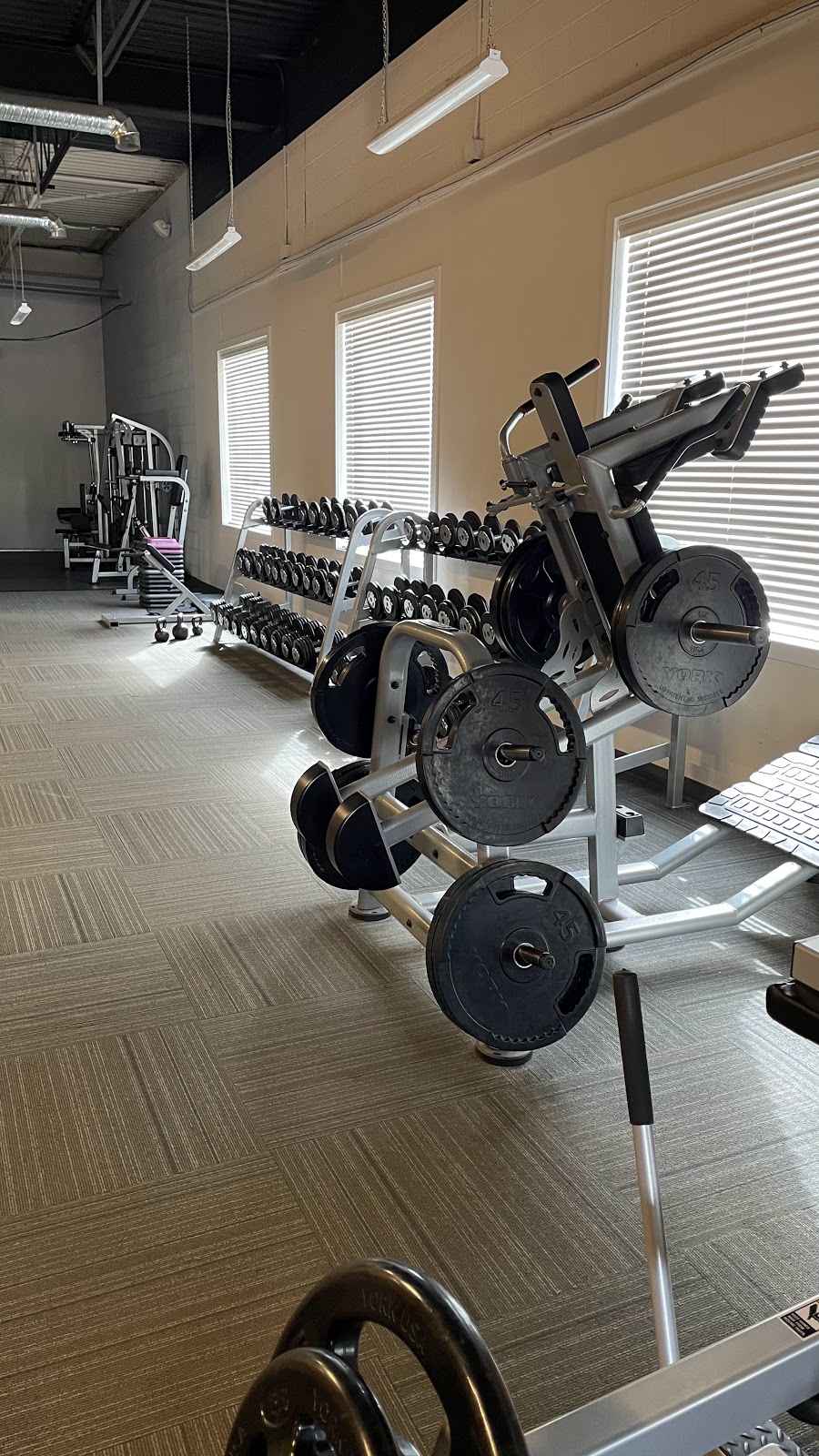 Total Rehabilitation and Sports Injuries Clinic | 390 Provencher Blvd, Winnipeg, MB R2H 0H1, Canada | Phone: (204) 415-6491