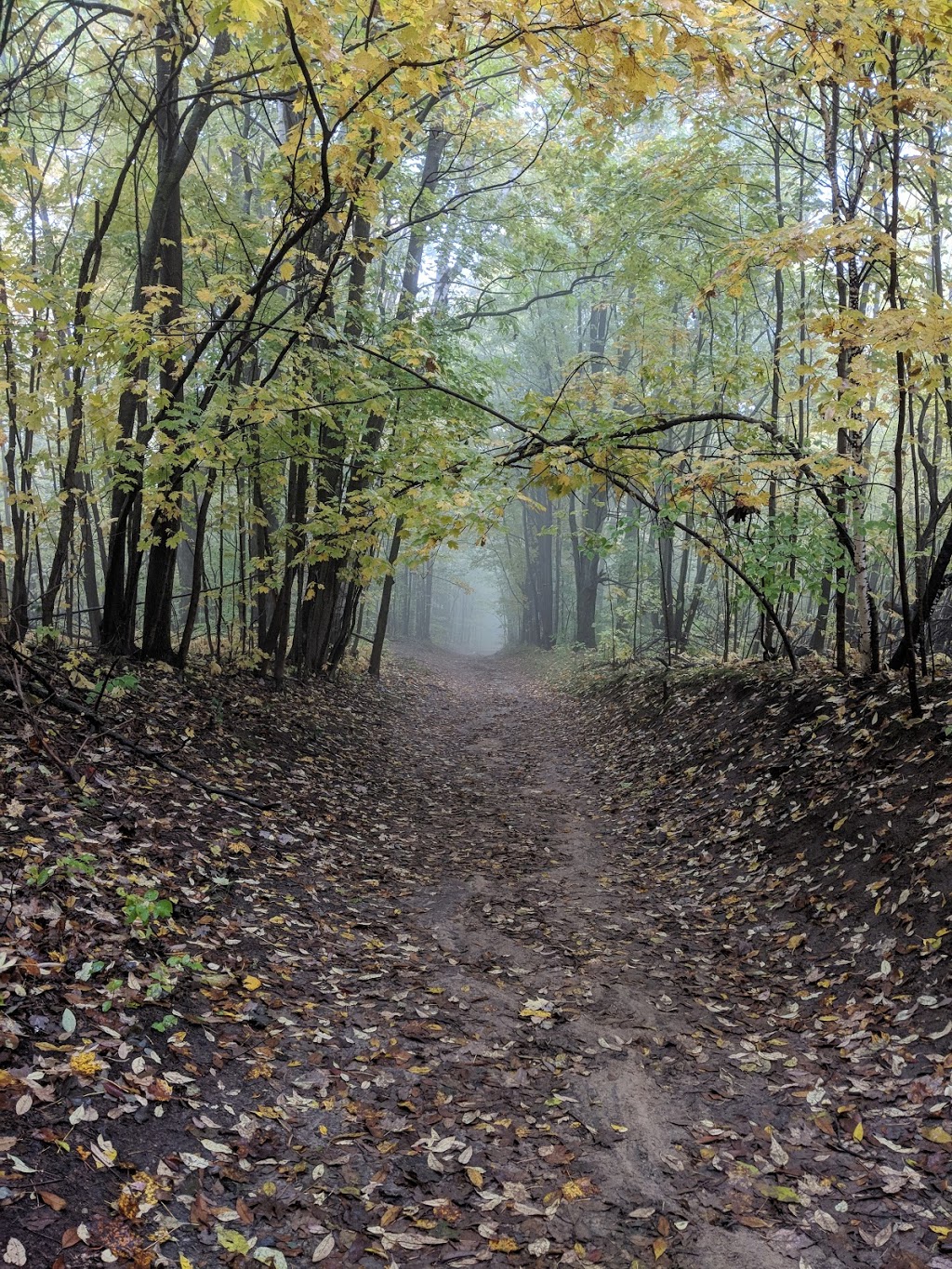 Mono Cliffs Provincial Park | 795122 3rd line, Orangeville, ON L9W 2Y8, Canada | Phone: (705) 435-2498