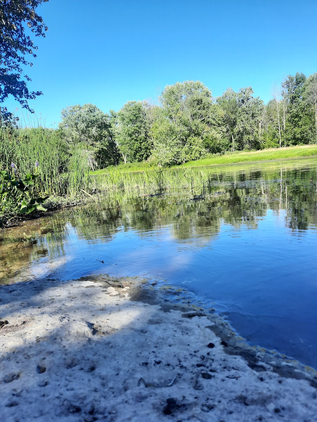 Jacque’s Landing Campground | 1873 Klondike Park Rd, Wasaga Beach, ON L9Z 2W8, Canada | Phone: (705) 429-5418