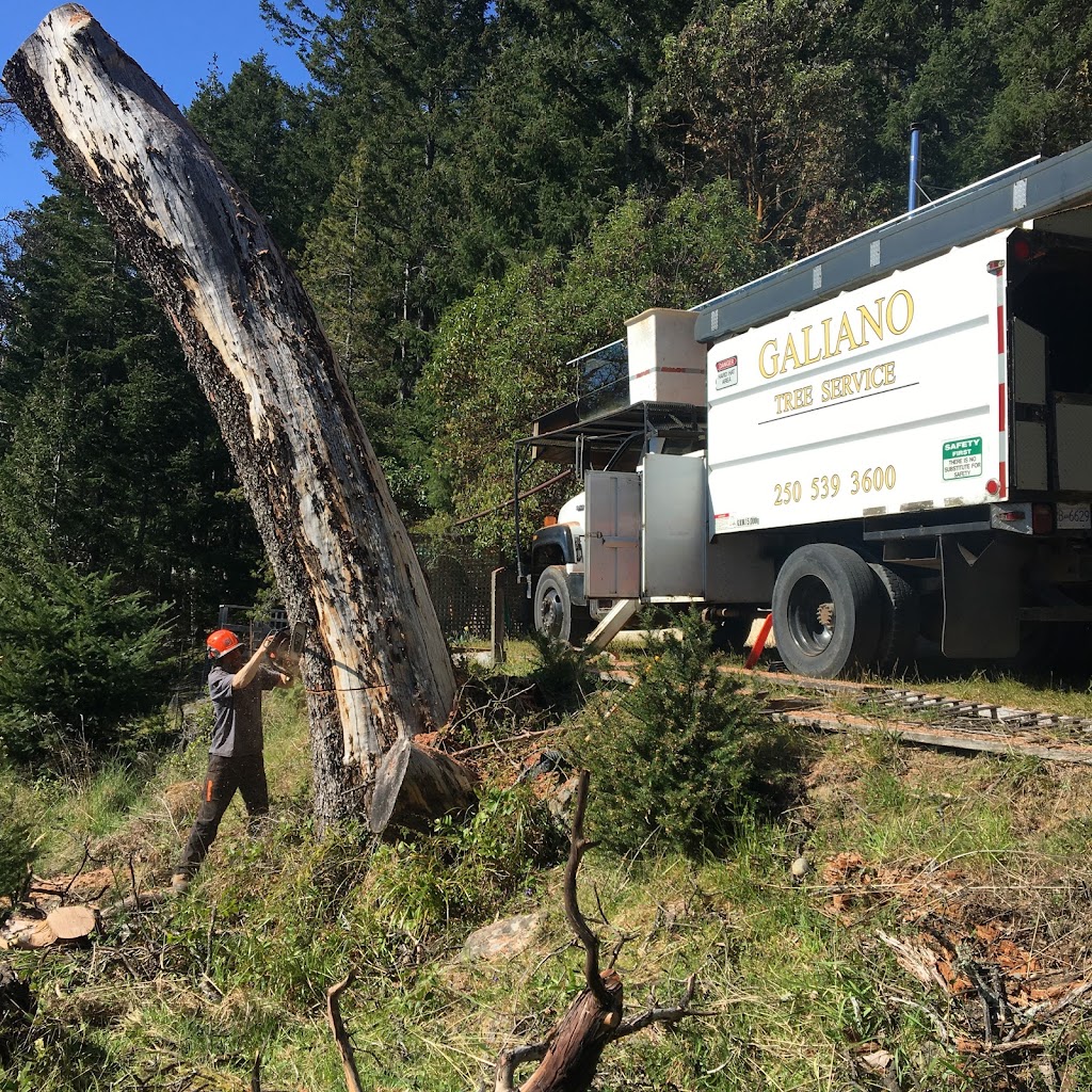 Galiano Tree Service | 398 Morgan Rd, Galiano Island, BC V0N 1P0, Canada | Phone: (250) 539-3600
