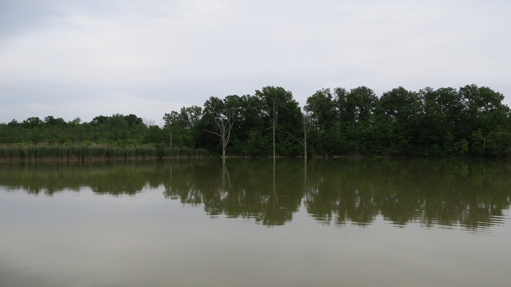 L.C. Henderson Conservation Area | RR 4, Petrolia, ON N0N 1R0, Canada | Phone: (519) 882-2280