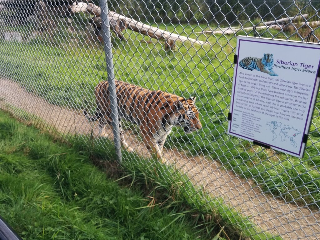Greater Vancouver Zoo | 5048 264 St, Aldergrove, BC V4W 1N7, Canada | Phone: (604) 856-6825