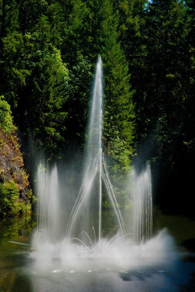 Bog Garden | Brentwood Bay, BC HX12B, Canada