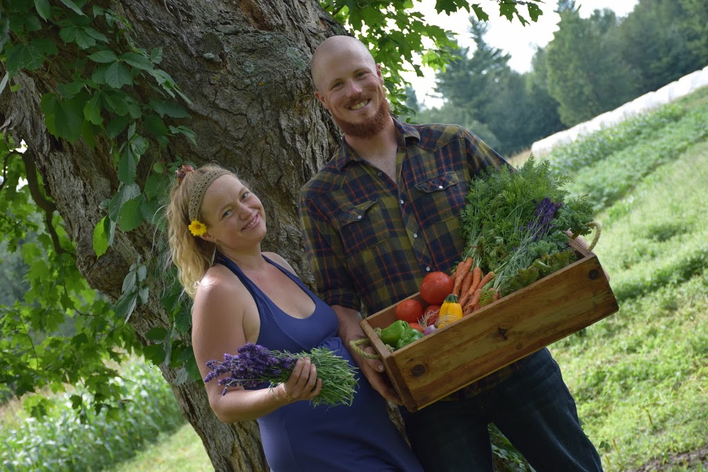 La ferme Aux Bio-Légumes | 123 Chemin Lawrence, Brigham, QC J2K 4Z8, Canada | Phone: (514) 775-9063