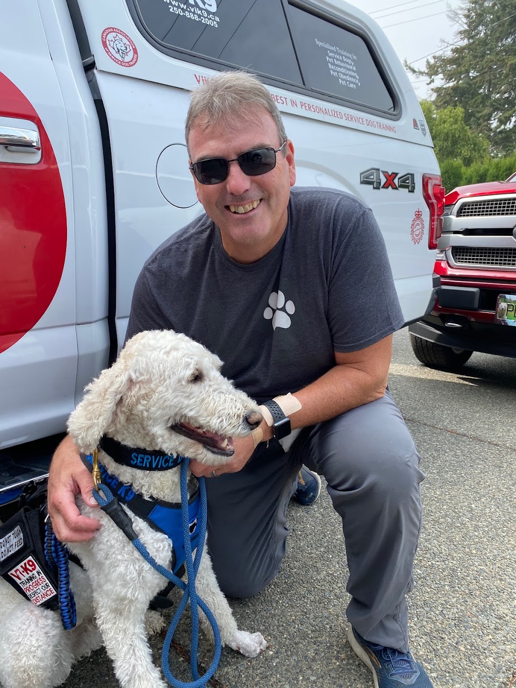 Complete K9 | 2618 Treit Rd, Shawnigan Lake, BC V0R 2W2, Canada | Phone: (604) 308-7573