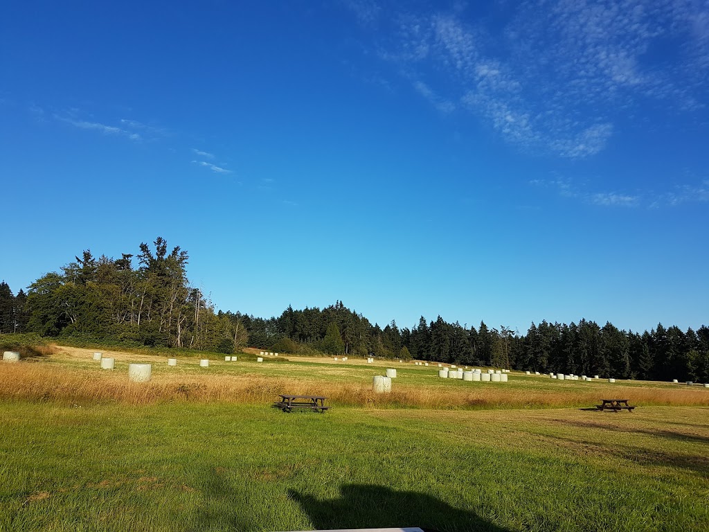 Beehive RV Park & Campground | 780 Kilmalu Rd, Mill Bay, BC V0R 2P2, Canada | Phone: (250) 743-2074
