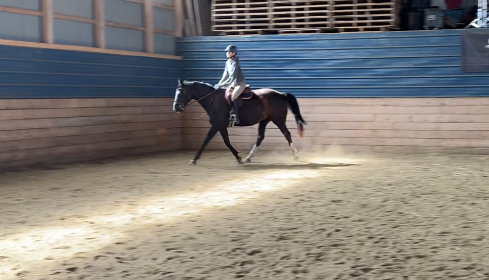 Lea Bank Equestrian Centre | Box 352, Rosenort, MB R0G 1W0, Canada | Phone: (204) 226-0746