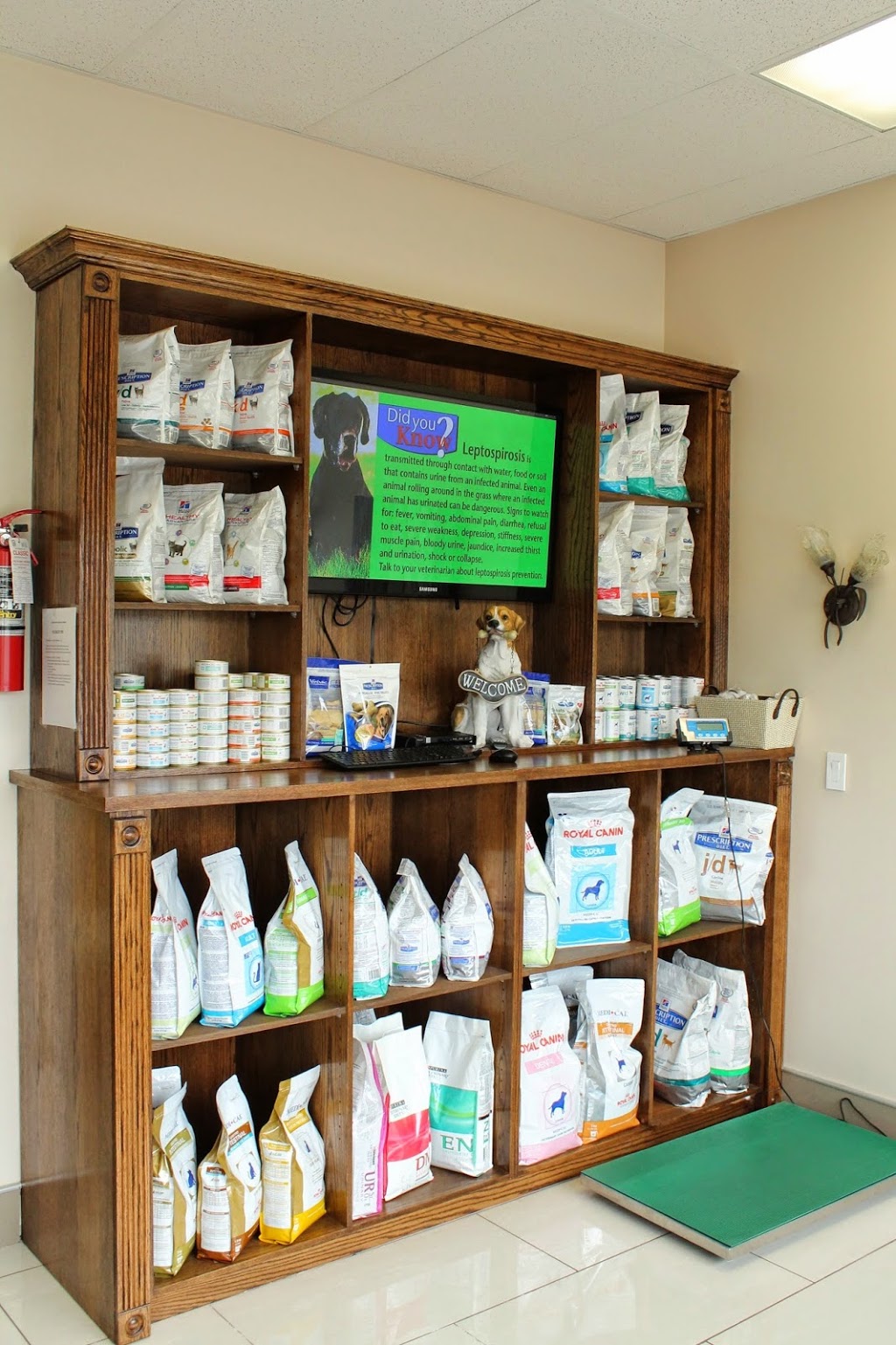 Eglinton Mavis Veterinary Hospital Mississauga | 5025 Heatherleigh Ave #5, Mississauga, ON L5V 2Y7, Canada | Phone: (905) 501-8387