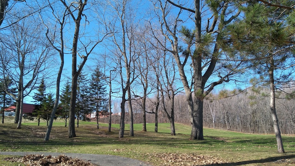 Parc St-Isabelle (Terrain de soccer) | 3000 Rue de la Matapédia, Québec, QC G1W 1Y1, Canada