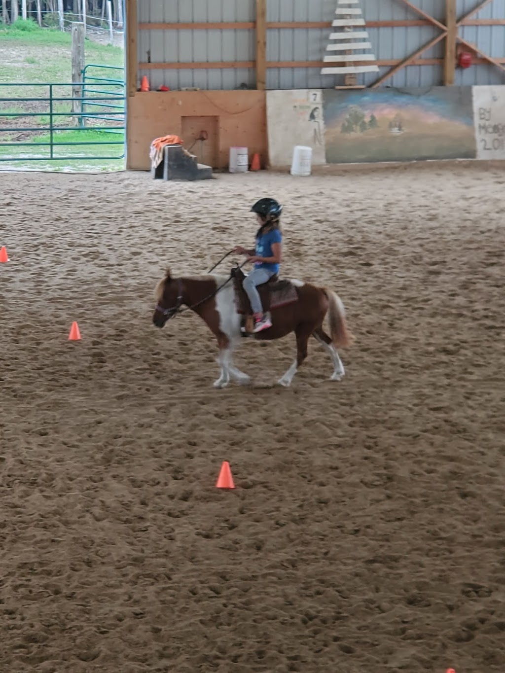Heavens Gait | 2435 Elm Tree Rd, Lindsay, ON K9V 4R1, Canada | Phone: (705) 928-5227
