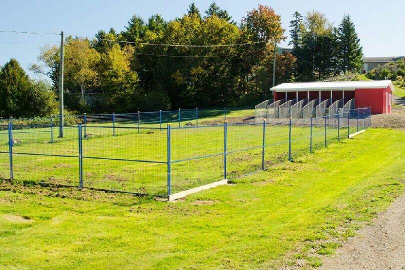 Clifton Royal Dog Boarding Kennels Ltd | 1297 route 845, Clifton Royal, NB E5S 2B7, Canada | Phone: (506) 283-3647