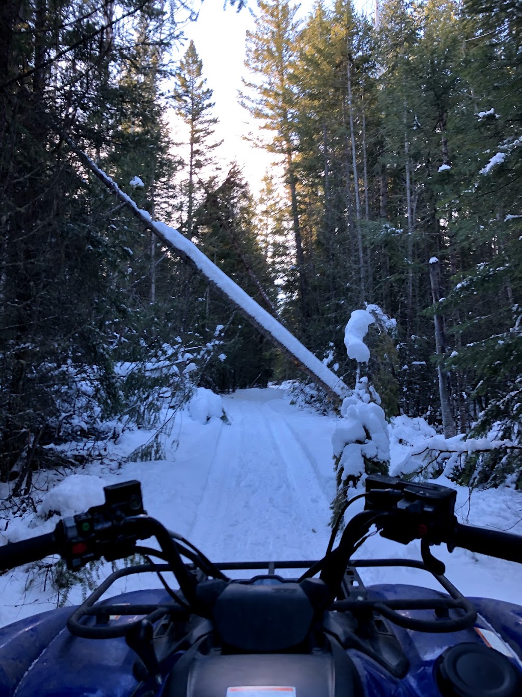 Green Lake Snowmobile Club | 176 Green Lake S Rd, 70 Mile House, BC V0K 2K2, Canada | Phone: (250) 456-7751