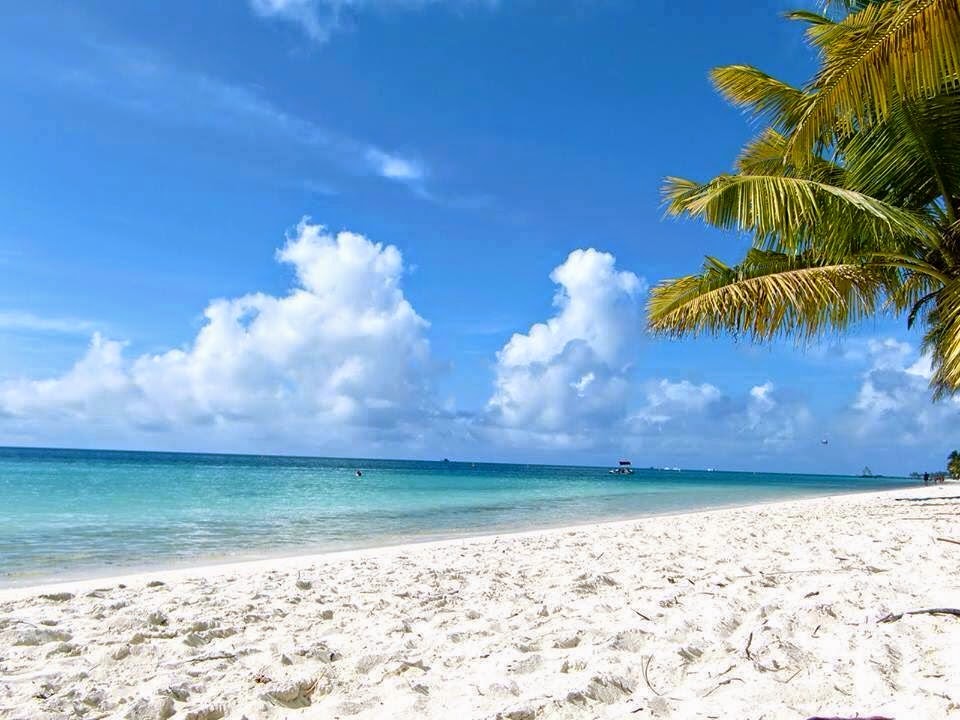 Electric Beach tanning salon | 1692 Danforth Ave, Toronto, ON M4C 1H8, Canada | Phone: (416) 616-4464