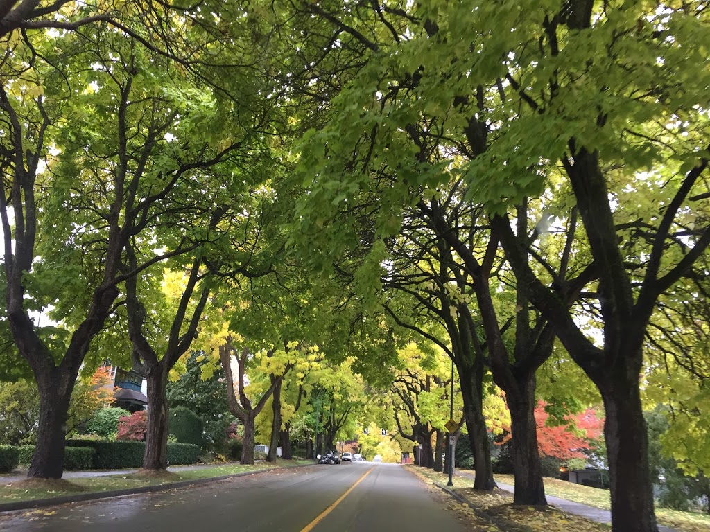 Connaught Park | 2390 W 10th Ave, Vancouver, BC V6K 4K9, Canada | Phone: (604) 873-7000