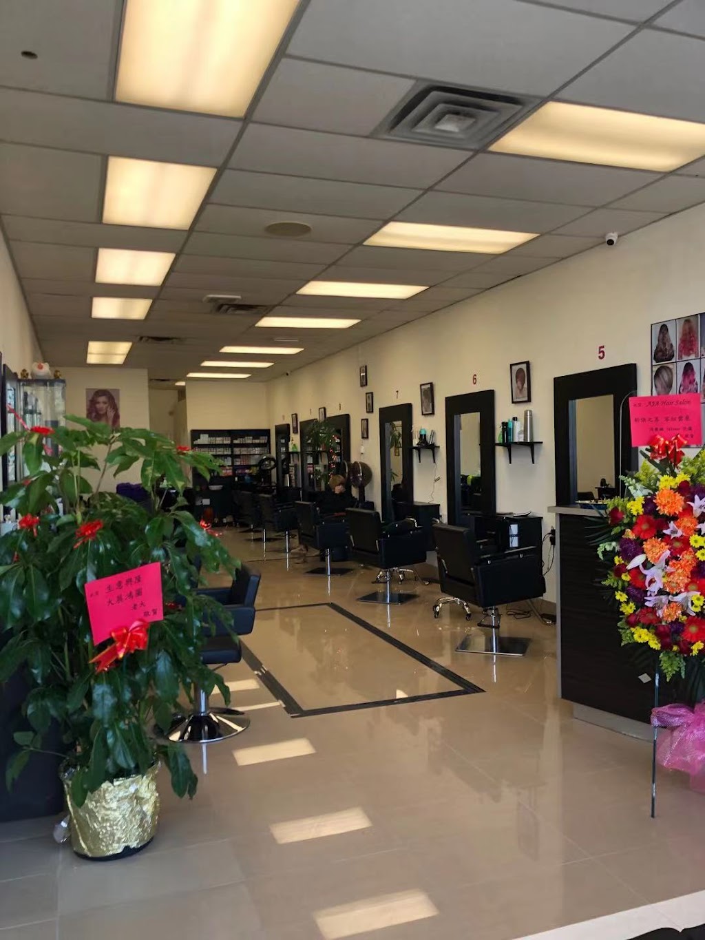 AJA HAIR SALON | 3100 Dixie Rd Unit 5, Mississauga, ON L4Y 2A6, Canada | Phone: (905) 279-7488